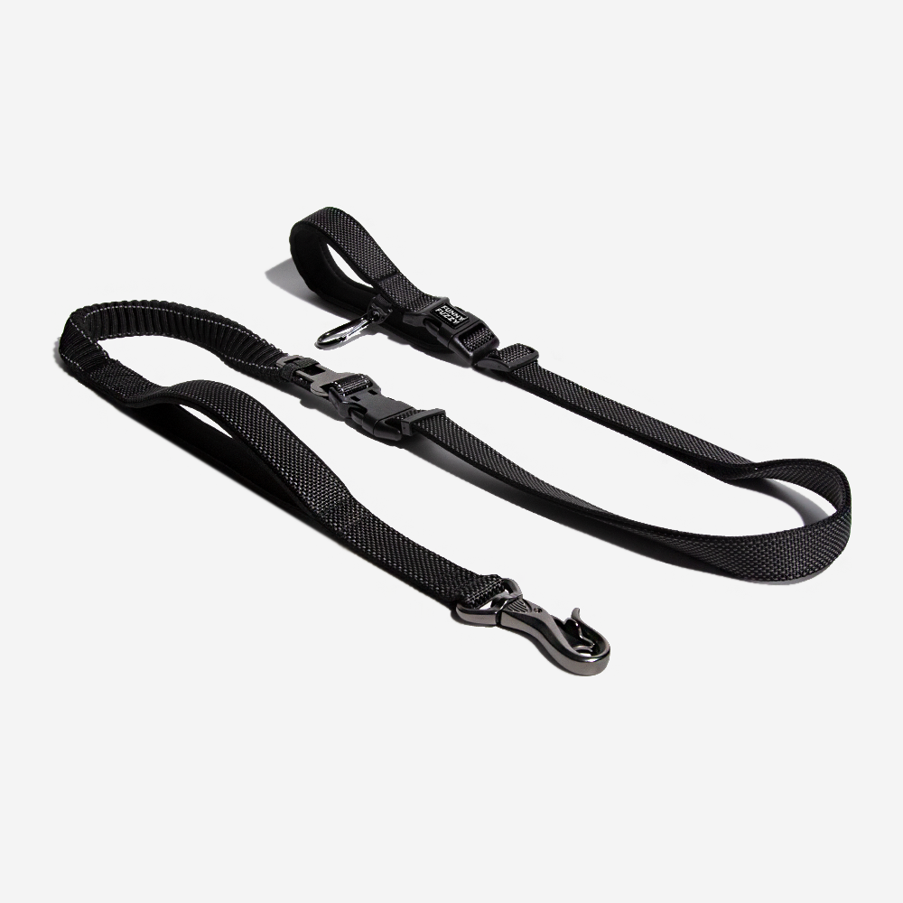 Unisex dog leash in a vibrant color, showcasing its hands-free and reflective features for walks.