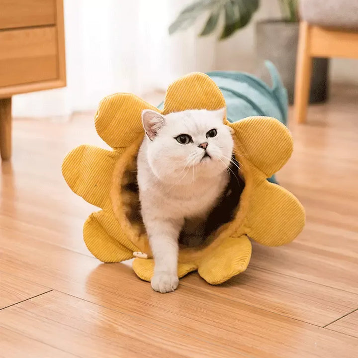 Foldable pet play tunnel with flower design, perfect cat toy for hide-and-seek and exercise