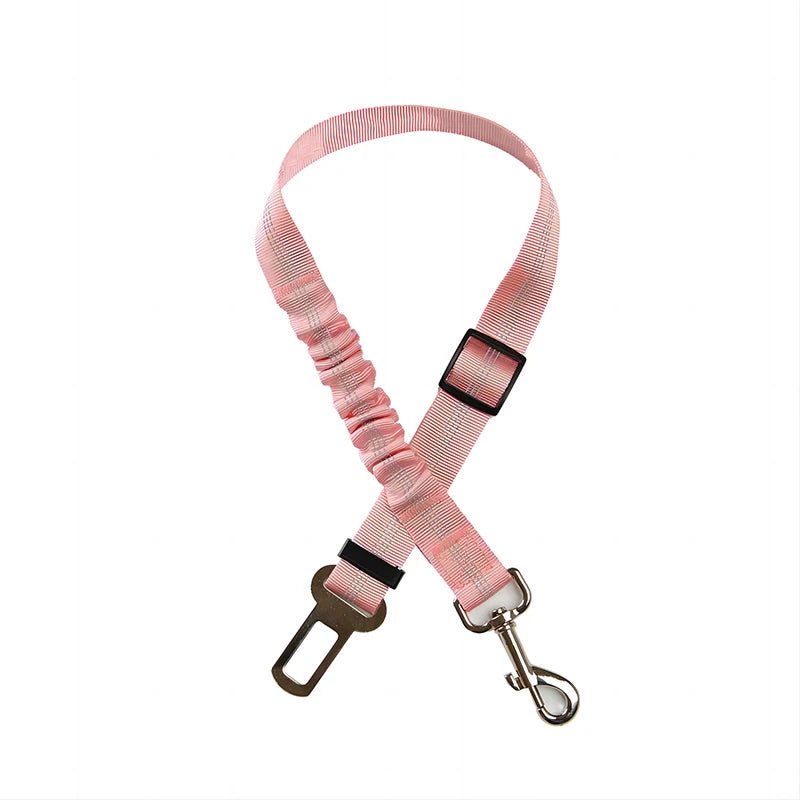 Adjustable pet car leash in black nylon, perfect for secure and comfortable cat travel