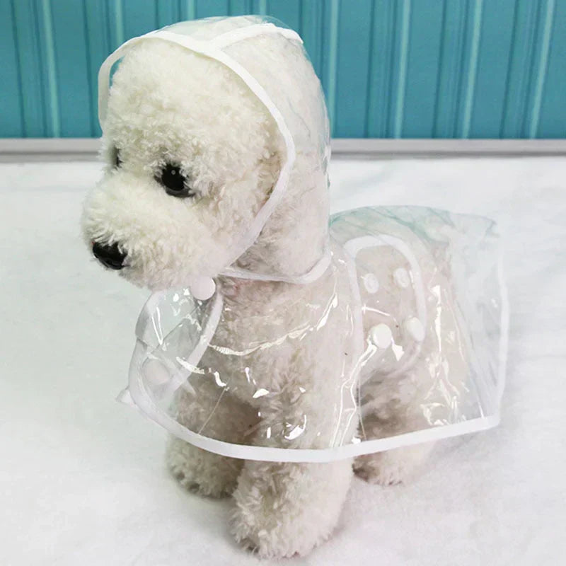 Dog sitting patiently in a clear raincoat, ready for a rainy walk. Practical and fashionable.