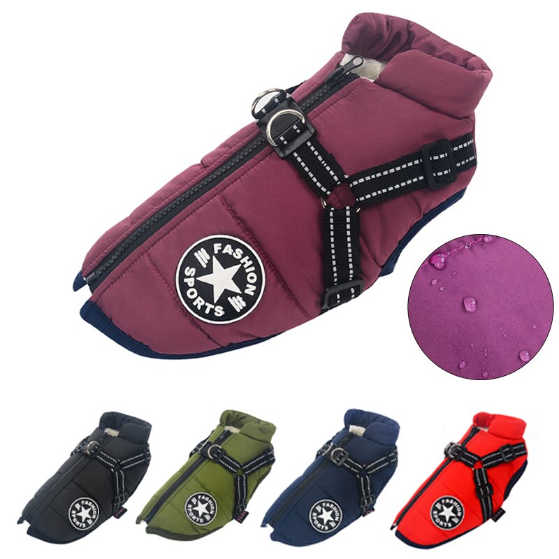 Dog wearing black waterproof insulated dog coat, winter pet jacket, outdoor dog gear