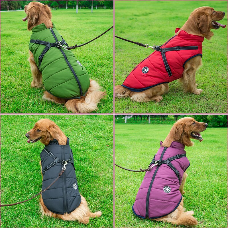 Dog apparel: blue winter waterproof dog coat modeled by a happy dog running in the snow.