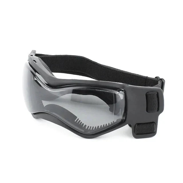 Close-up of pet sunglasses with UV protection and adjustable elastic strap on a dog