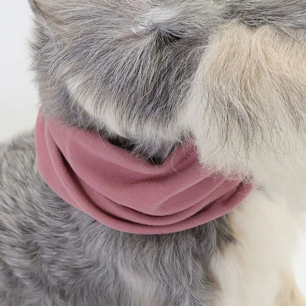 Purple winter dog snood pet hat for ear protection, cozy and washable pet accessory