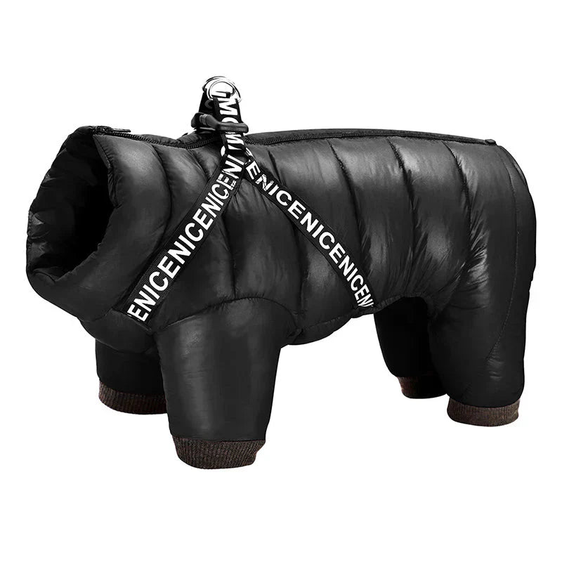 Adjustable straps of a winter dog coat with integrated harness for perfect fit.