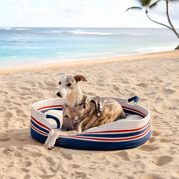 Woman setting down the lightweight cotton woven pet carrier beach bag on a picnic blanket, summer fun.